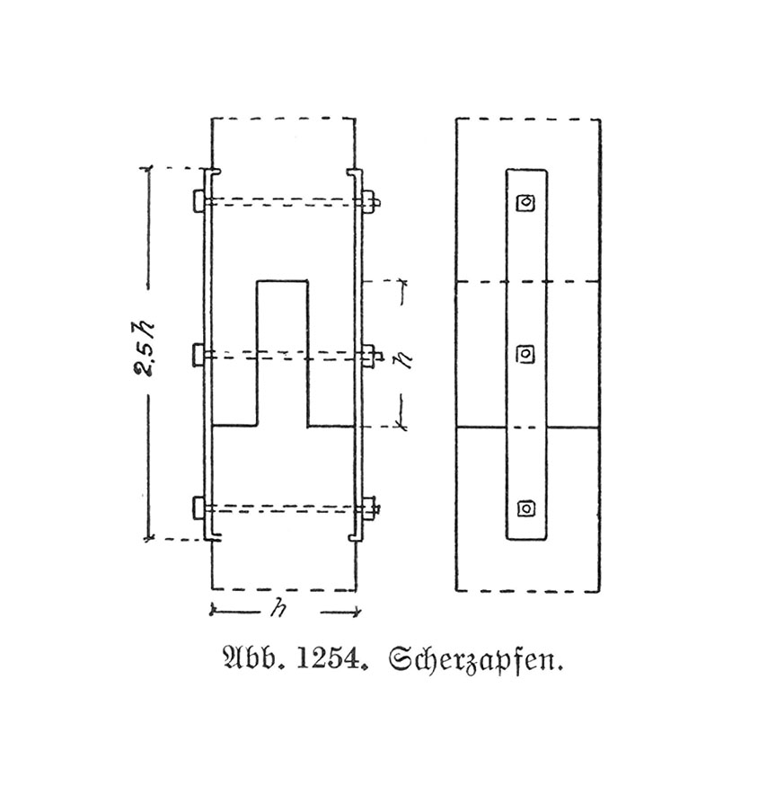 Abb. 1254. // Scherzapfen.