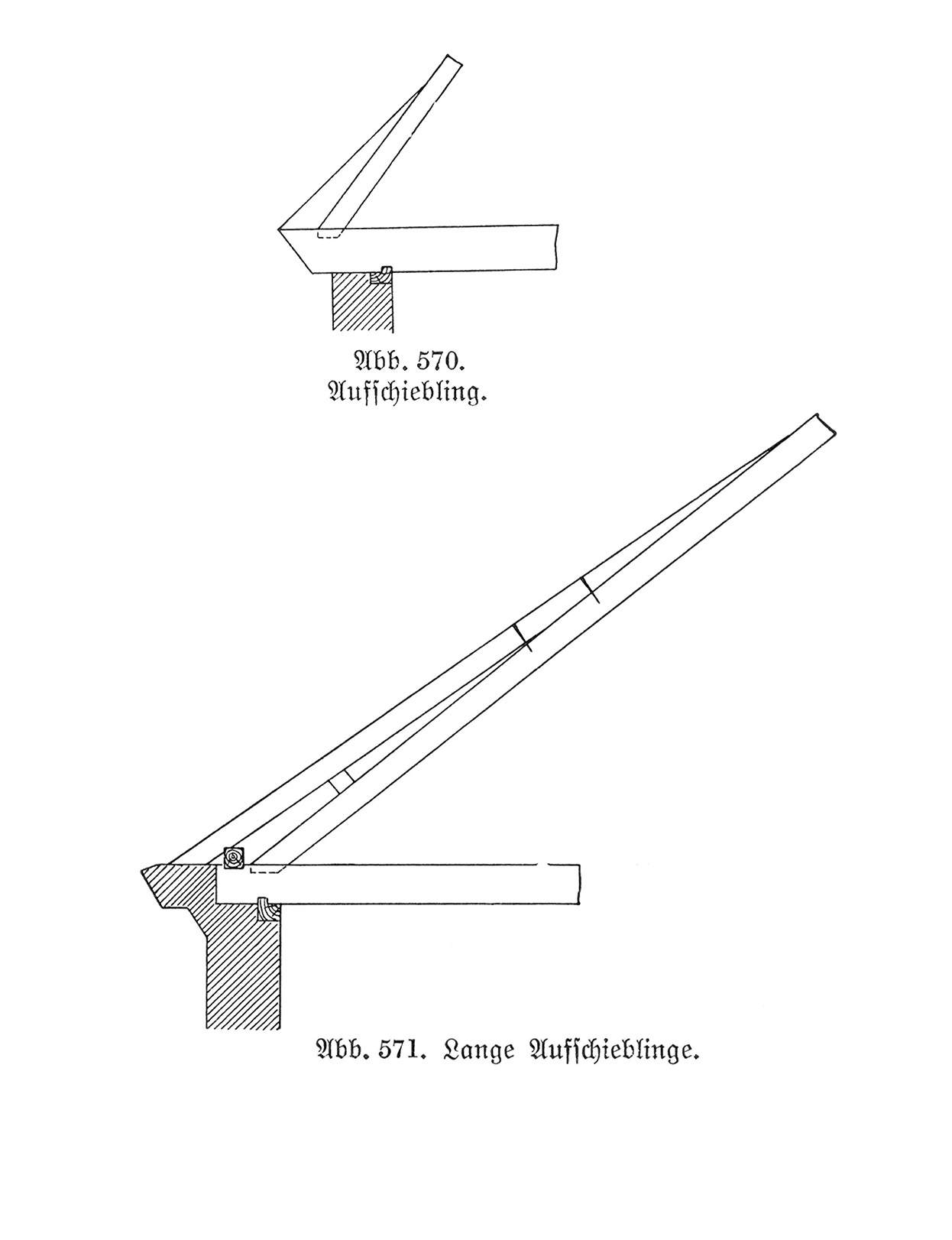 Abb. 570. // Aufschiebling. // Abb. 571. // Lange Aufschieblinge.
