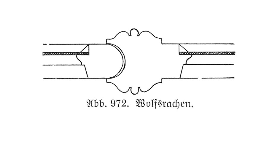 Abb. 972. // Wolfsrachen.