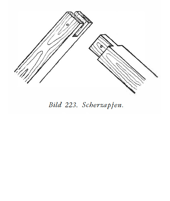 Bild 223. Scherzapfen