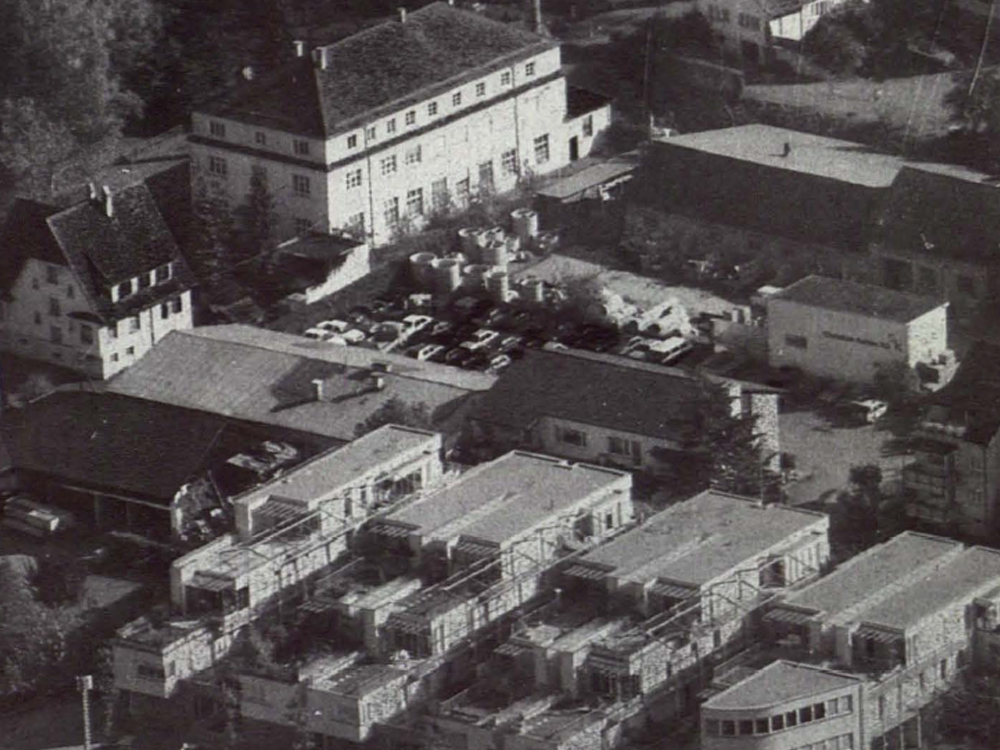 Terrassenwohnsiedlung in Bregenz