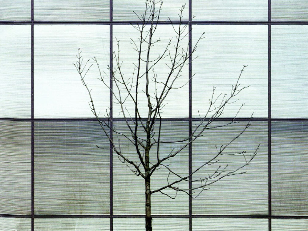 Entwicklungszentrum In Ingolstadt