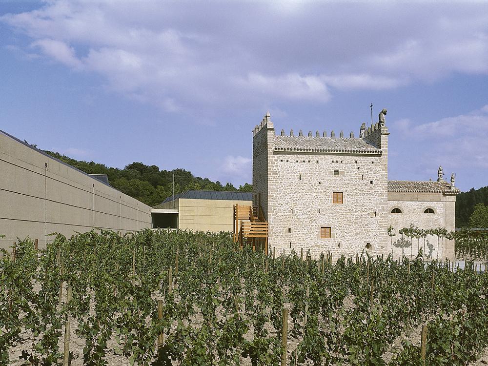 Weingut in Arinzano