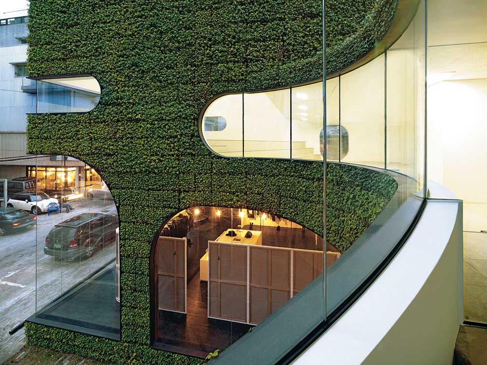 Technik: Lebende Wände, vertikale Gärten - vom Blumentopf zur grünen Systemfassade