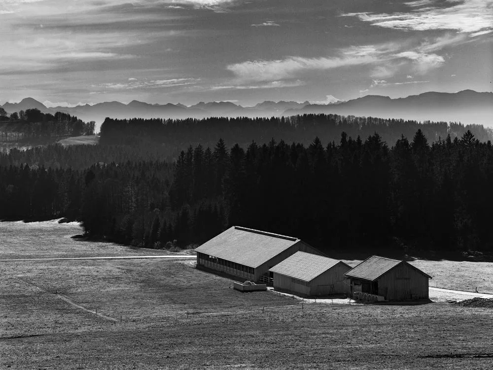 Stall in Thankirchen