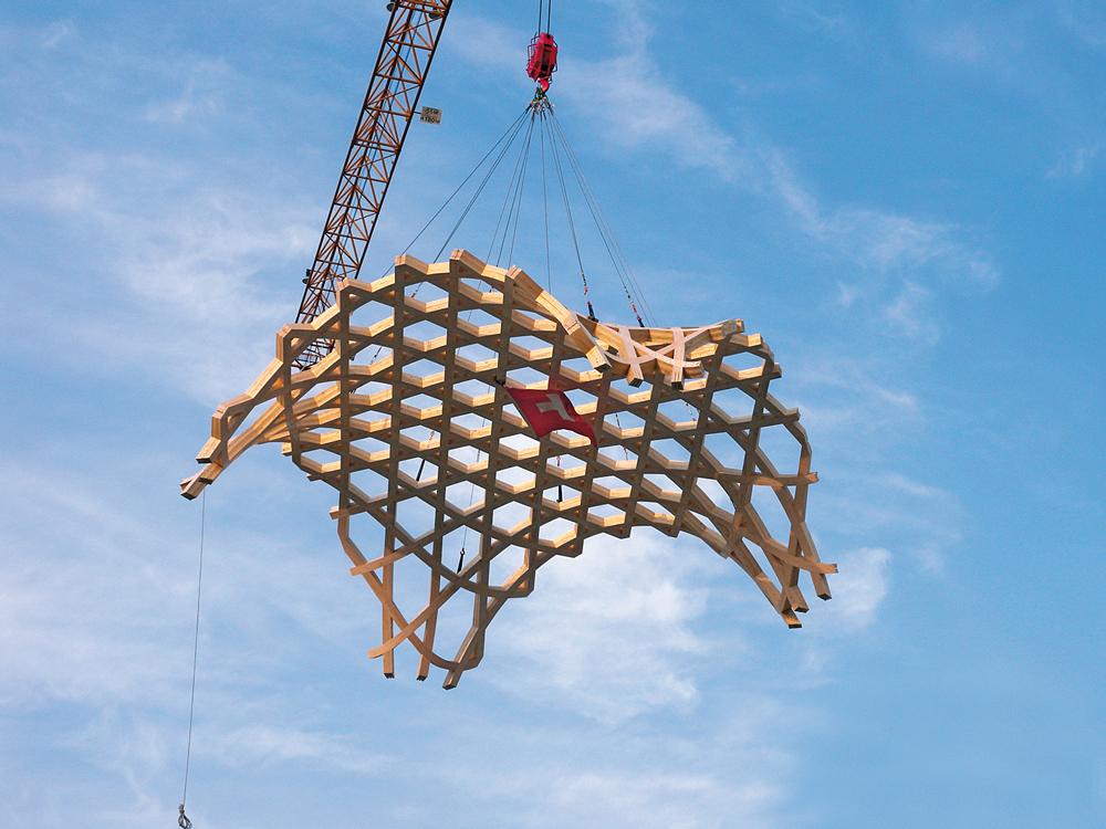 Montage eines Dachelements