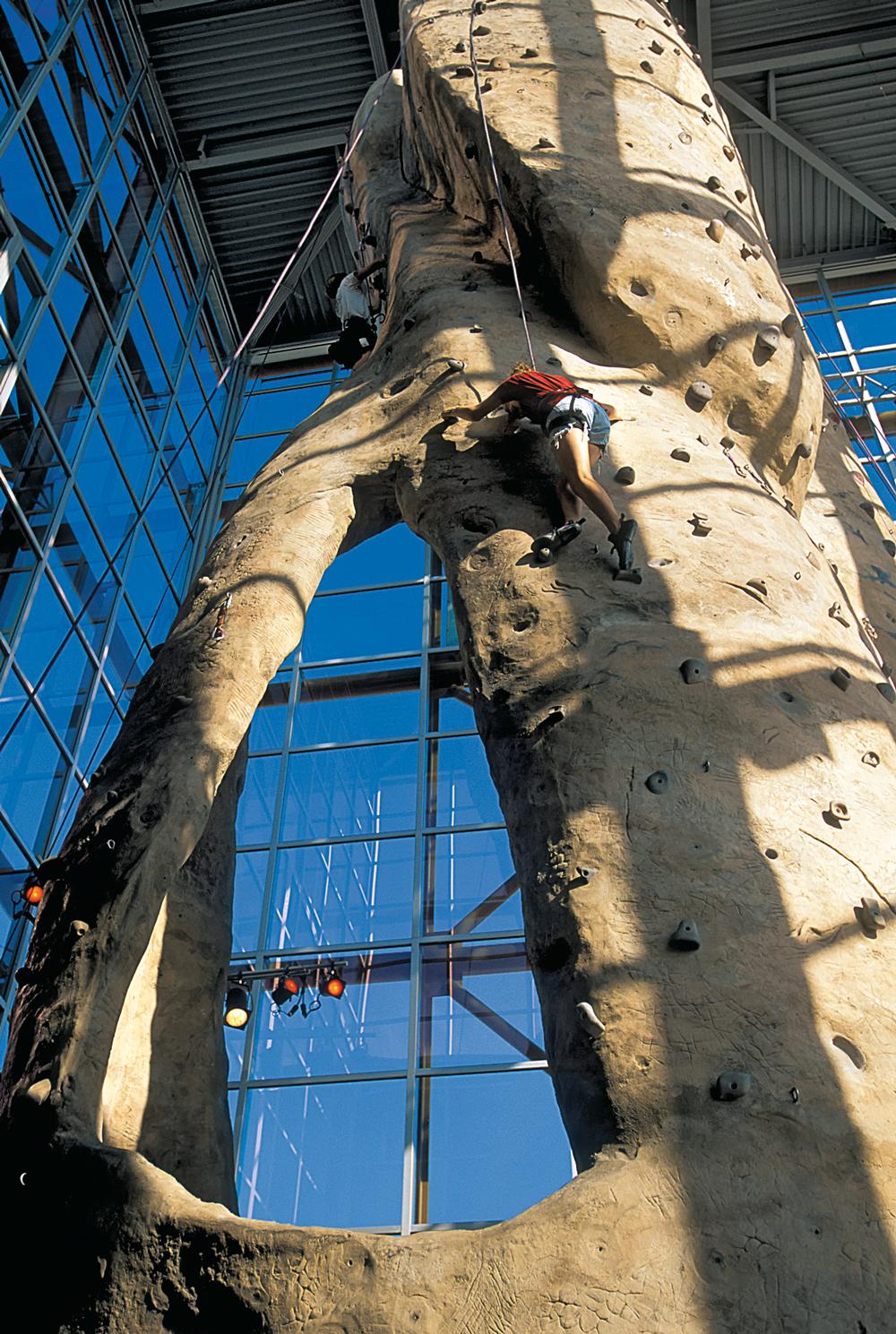 Kletterwand, REI Flagship Store in Seattle, 1996
Architekten: Mithun