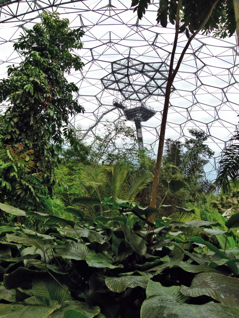 Aussichtsplattform im »Rainforest«-Gewächshaus, 2011