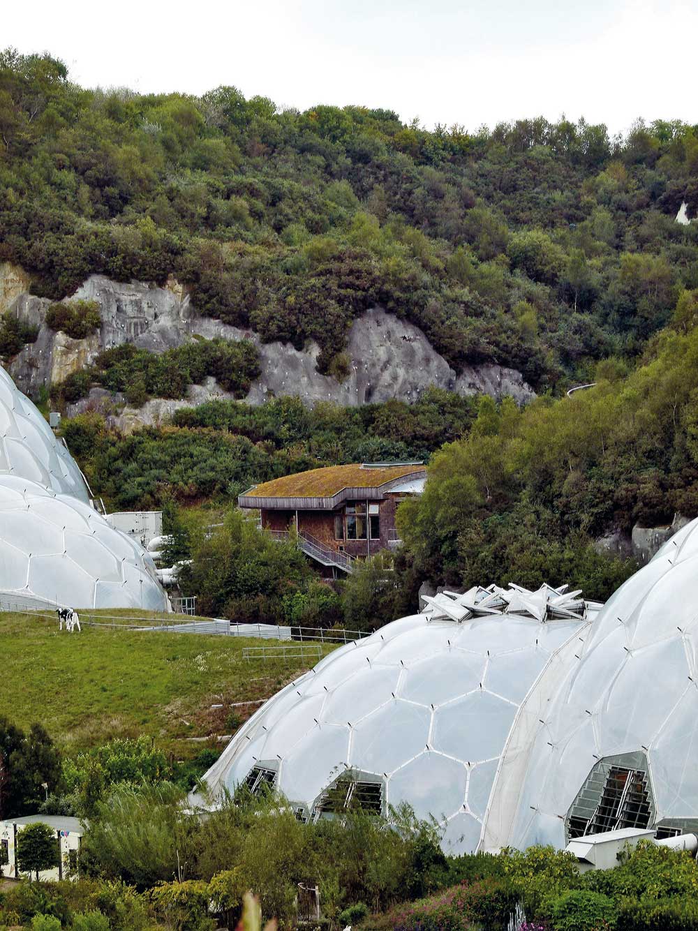 Mitarbeiterkantine, 2003
Architekten: Haskoll Architects