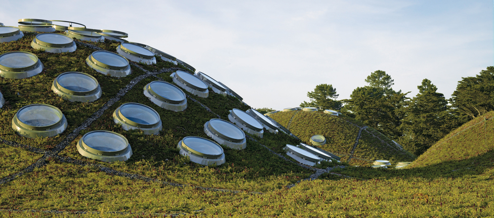California Academy of Sciences in San Francisco; Architekten: Renzo Piano Building Workshop