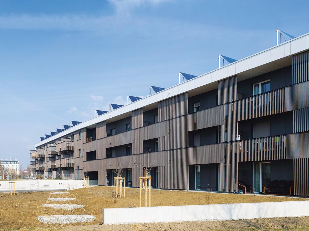Westansicht eines Riegels mit Privatbalkonen und höher gelegenen Privatgärten (links)