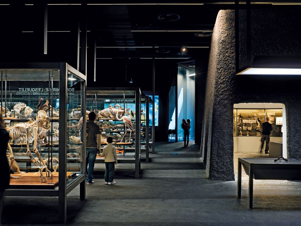 »Museu Blau« im Forum Barcelona