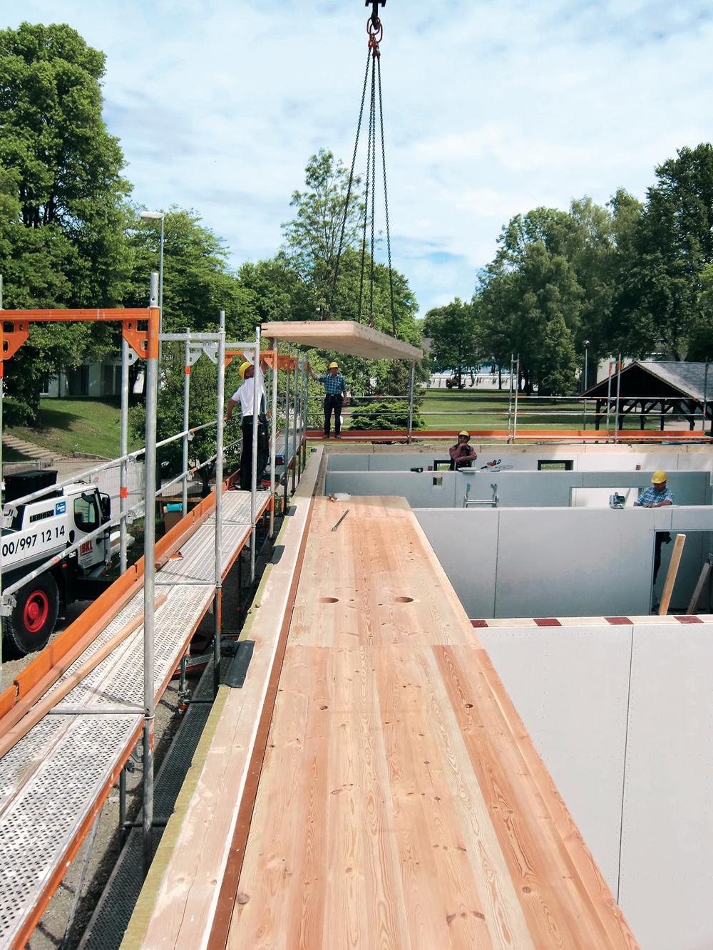Deckenelement aus Brettsperrholz, ausgebildet als Zweifeldträger