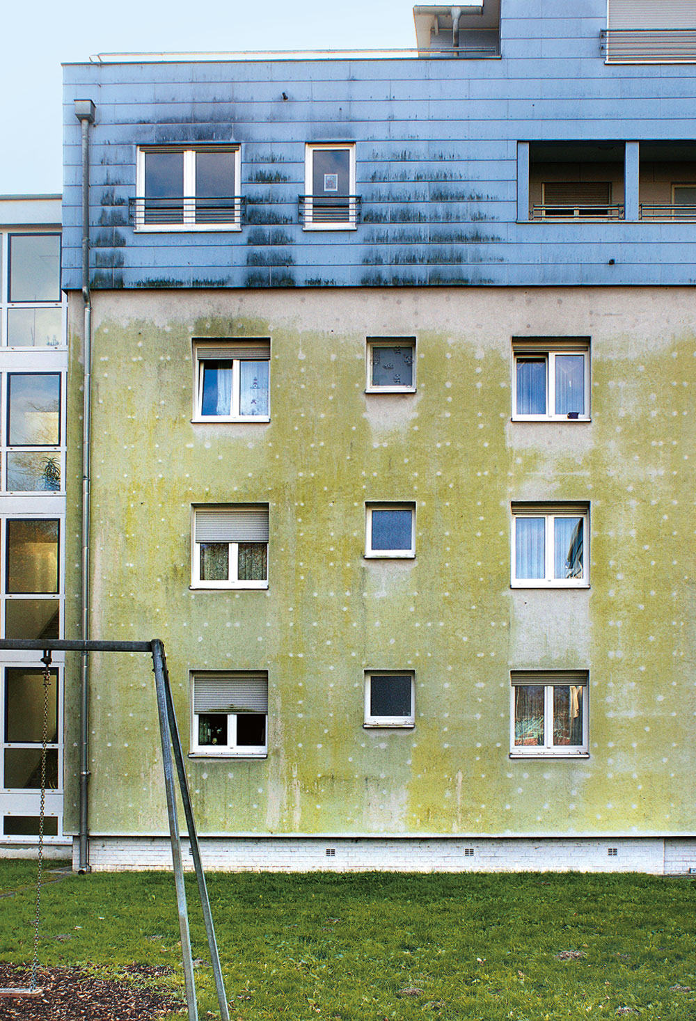 Altbaufassade mit Algen- und Pilzbewuchs