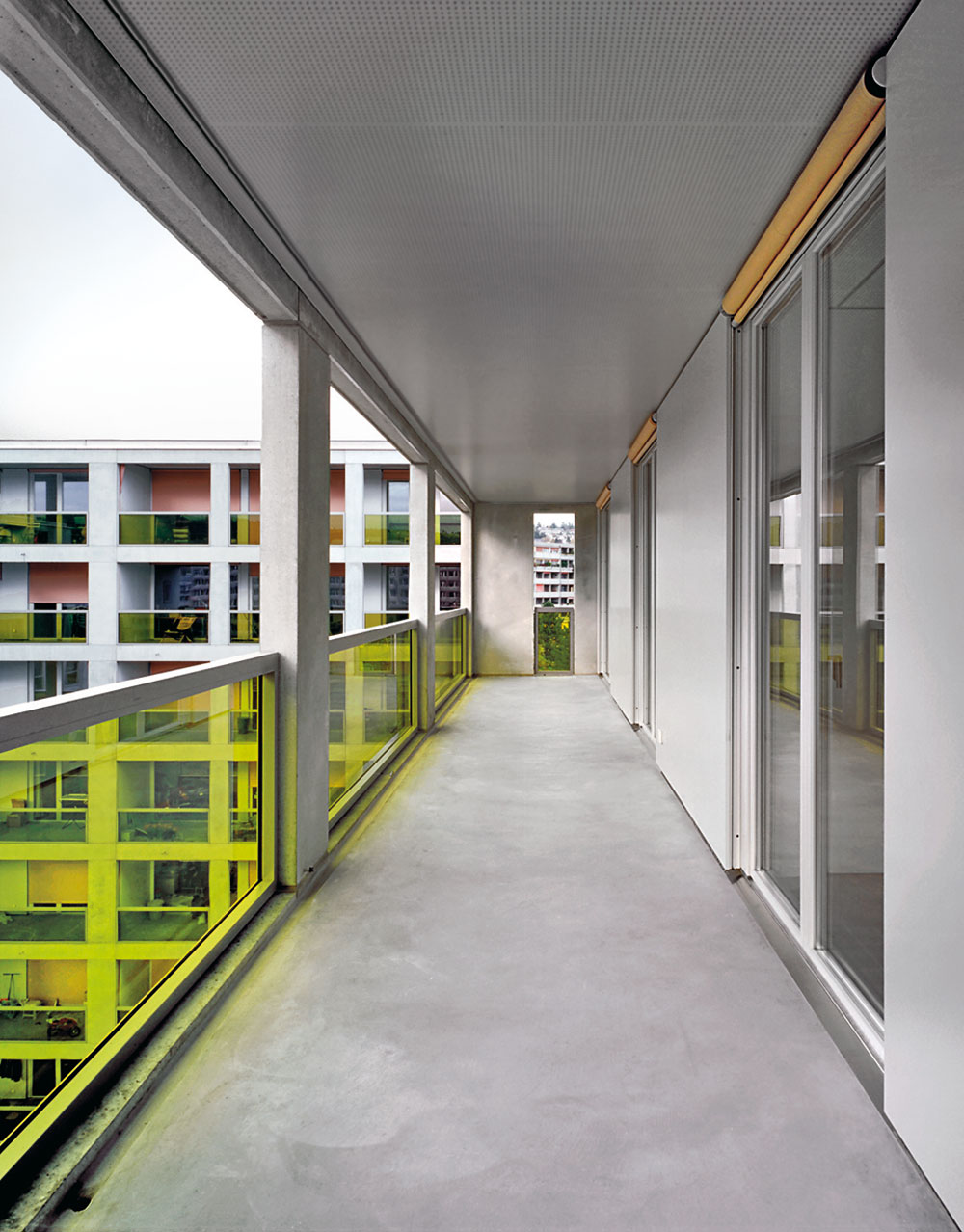 Wohnsiedlung Werdwies in Zürich 2007,  Adrian Streich Architekten