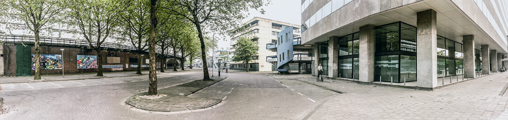 Rain Garden: Rückbau einer Straße zum Feuchtgebiet vor und nach der geplanten Begrünung

(Climate Proof Zomerhofkwartier, Rotterdam)