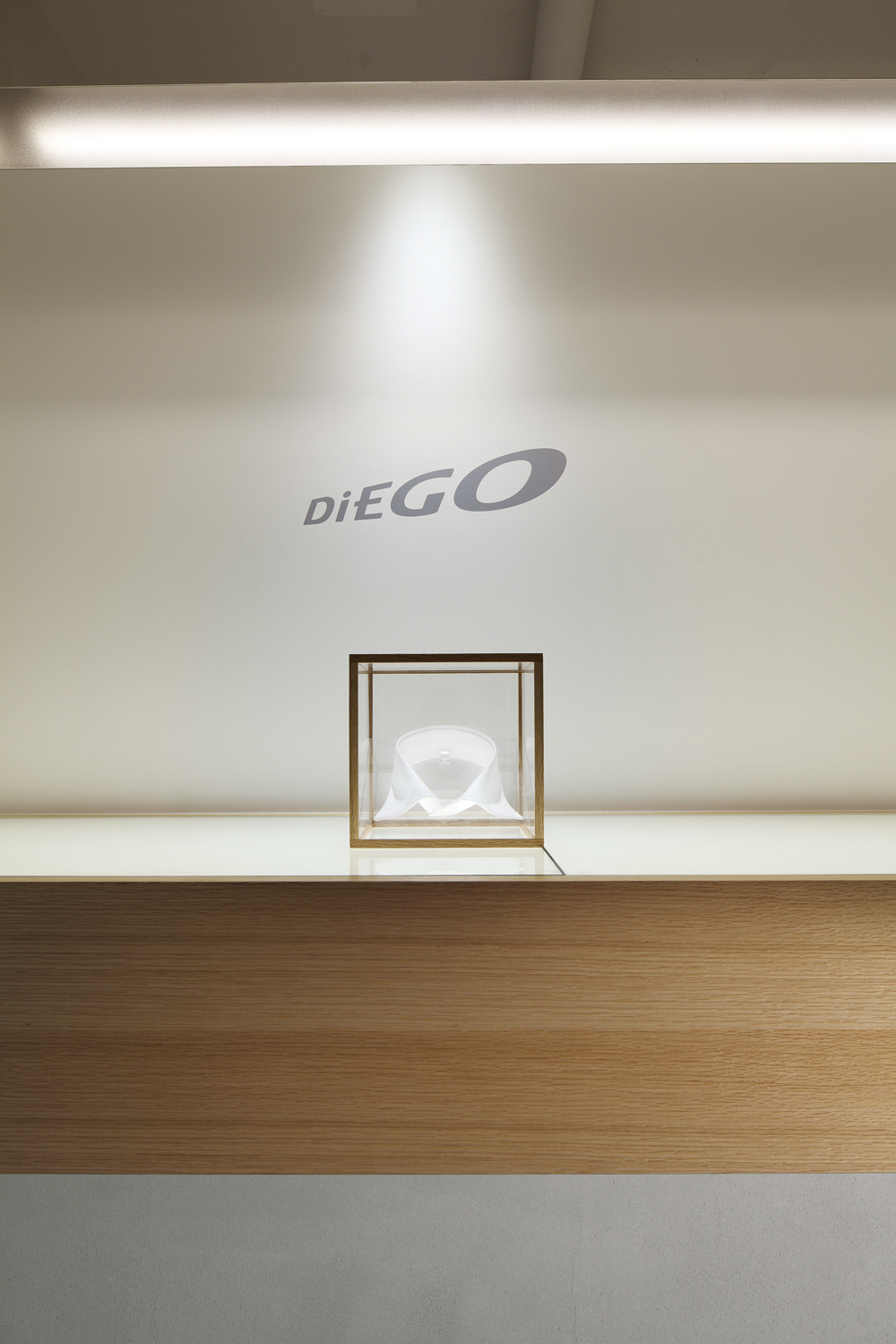 Diego Store
Jingumae 4178 oriental 205, Shibuyaku, Tokio
Design: Daisuke Yamamoto / de:sign