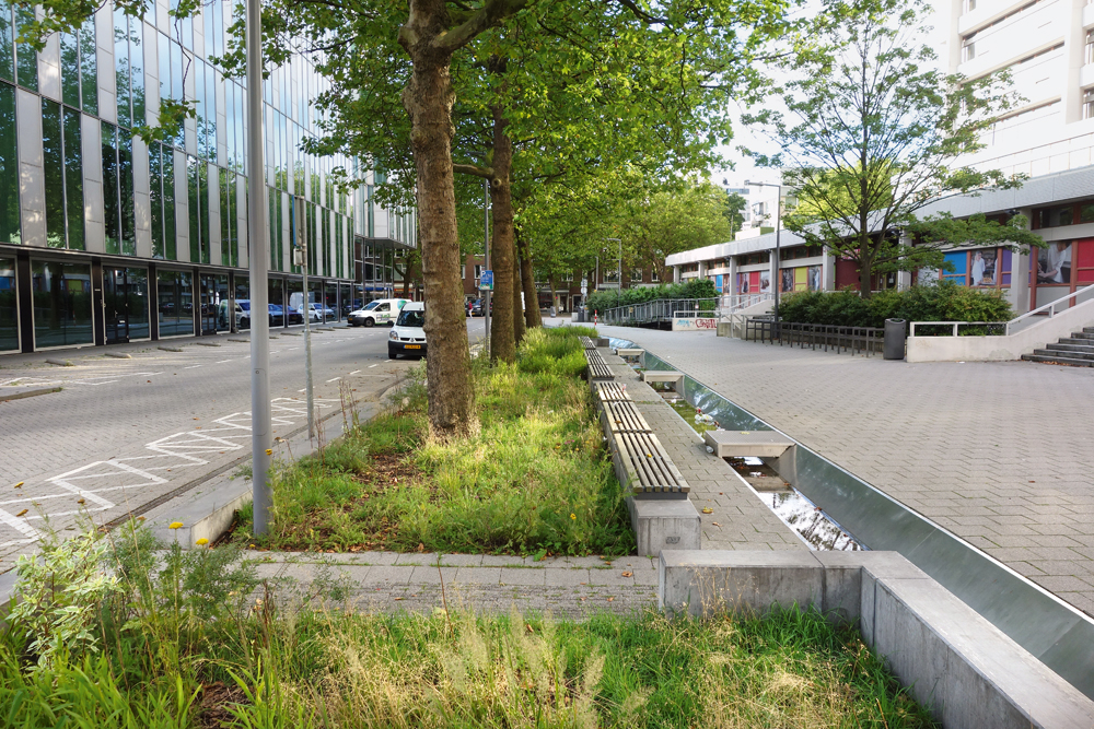 Watersquare, Benthemplein, 2014: Straßenentwässerung oberirdisch

(Climate Proof Zomerhofkwartier, Rotterdam)