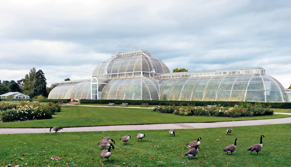 Kew Gardens London, Palmenhaus, 1848