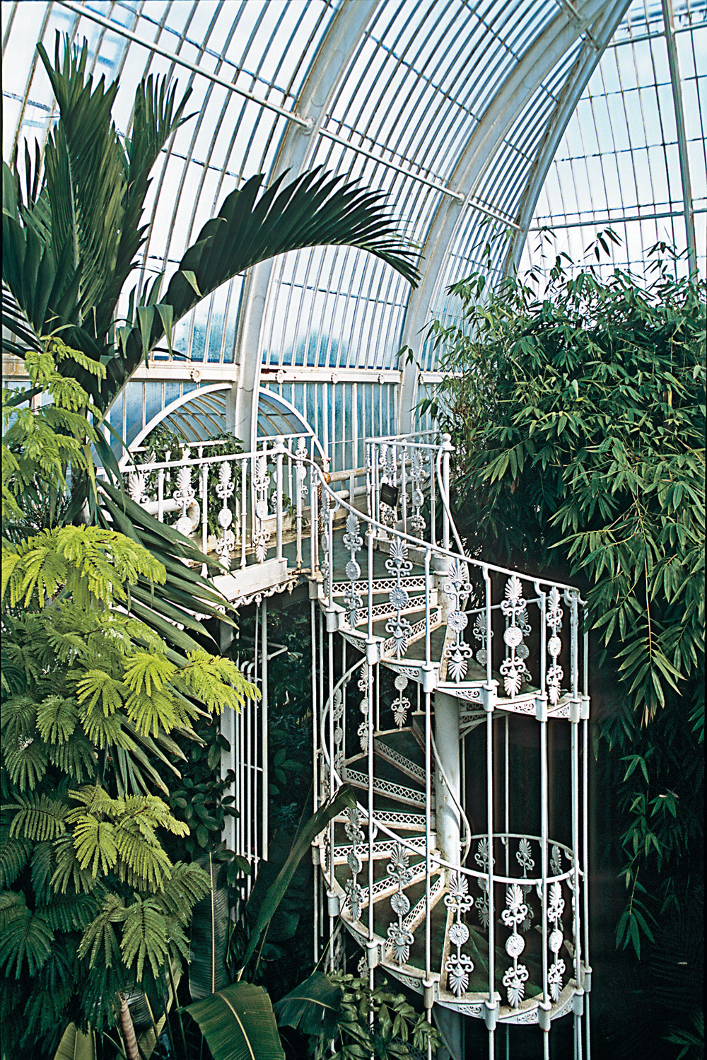 Kew Gardens London, Palmenhaus, 1848