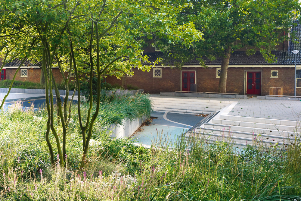 Watersquare, Benthemplein, 2014: Rückhaltebecken als Skaterrampe

(Climate Proof Zomerhofkwartier, Rotterdam)