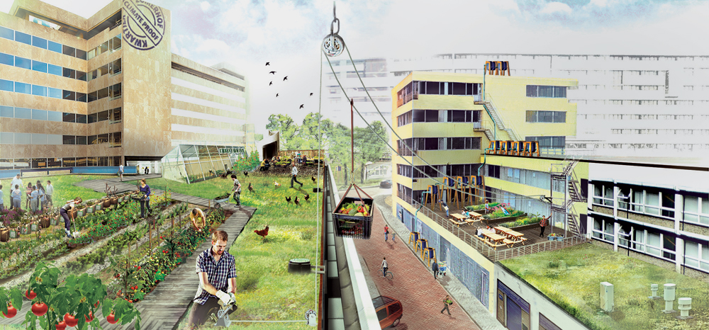 Polder Roof, Umgestaltung eines Parkdecks zum Quartierstreffpunkt, für Urban Gardening und als Rückhaltebecken bei Starkregen

(Climate Proof Zomerhofkwartier, Rotterdam)