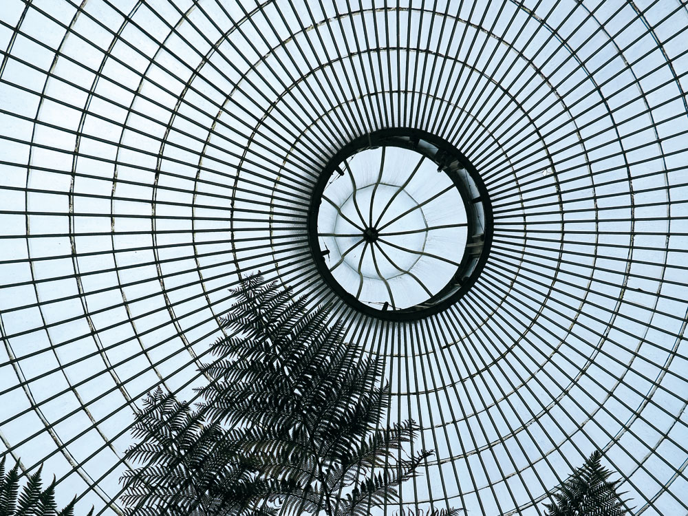 Diskussion: Gebaute Transparenz - Glashäuser des 19. Jahrhunderts