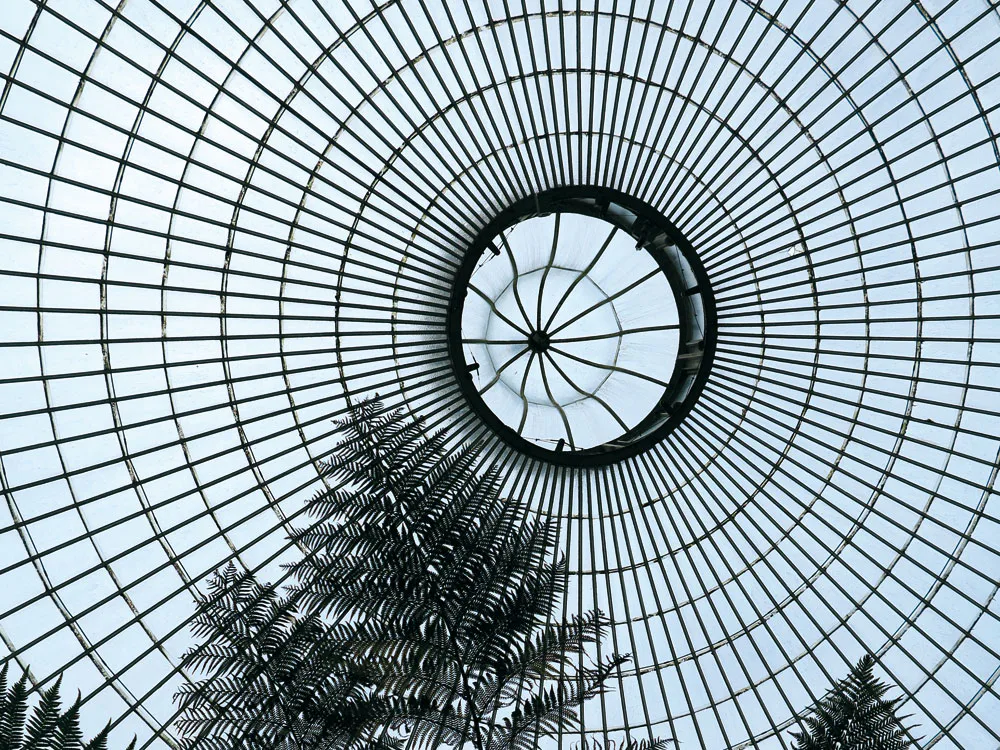Diskussion: Gebaute Transparenz - Glashäuser des 19. Jahrhunderts