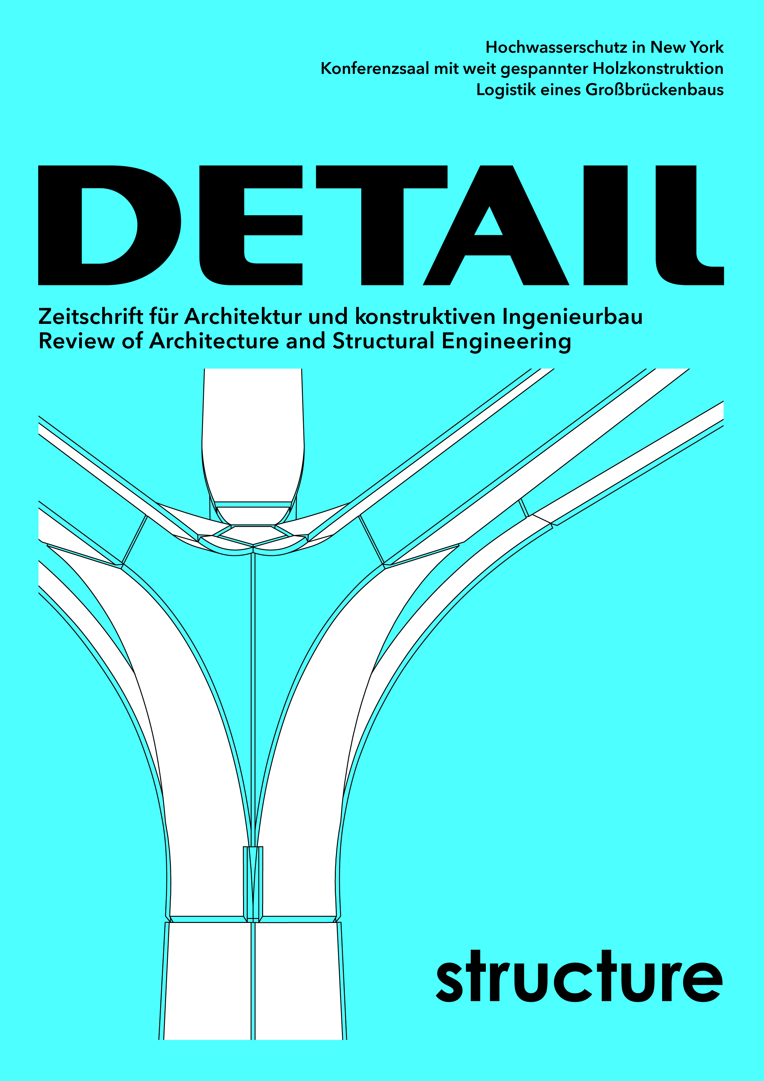 DETAIL structure