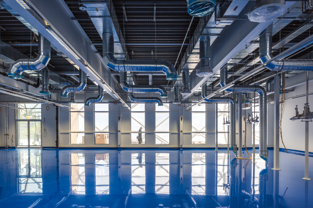 Das kühle und spiegelnde Blau des Bodens in den Kryohallen mit ihren bei tiefen Temperaturen gelagerten Lebendzellsammlung weckt Assoziationen an die Polarregionen, in denen das Institut intensive Forschungen betreibt.