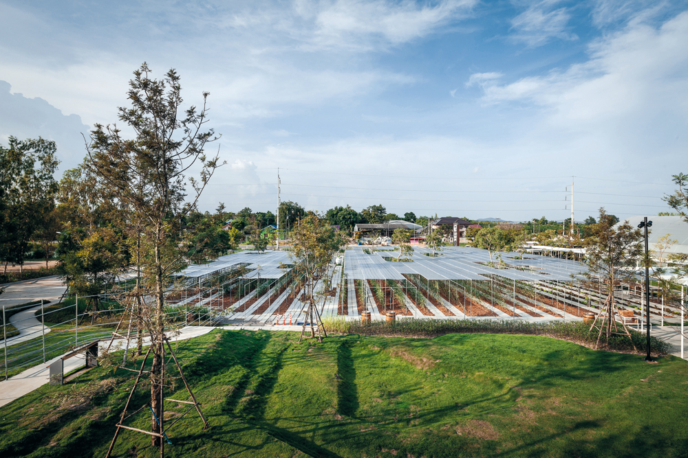 »Coro Field«, Landwirtschaftsbetrieb in Suan Pheung, Ratchaburi 
IF, Integrated Field, Bangkok