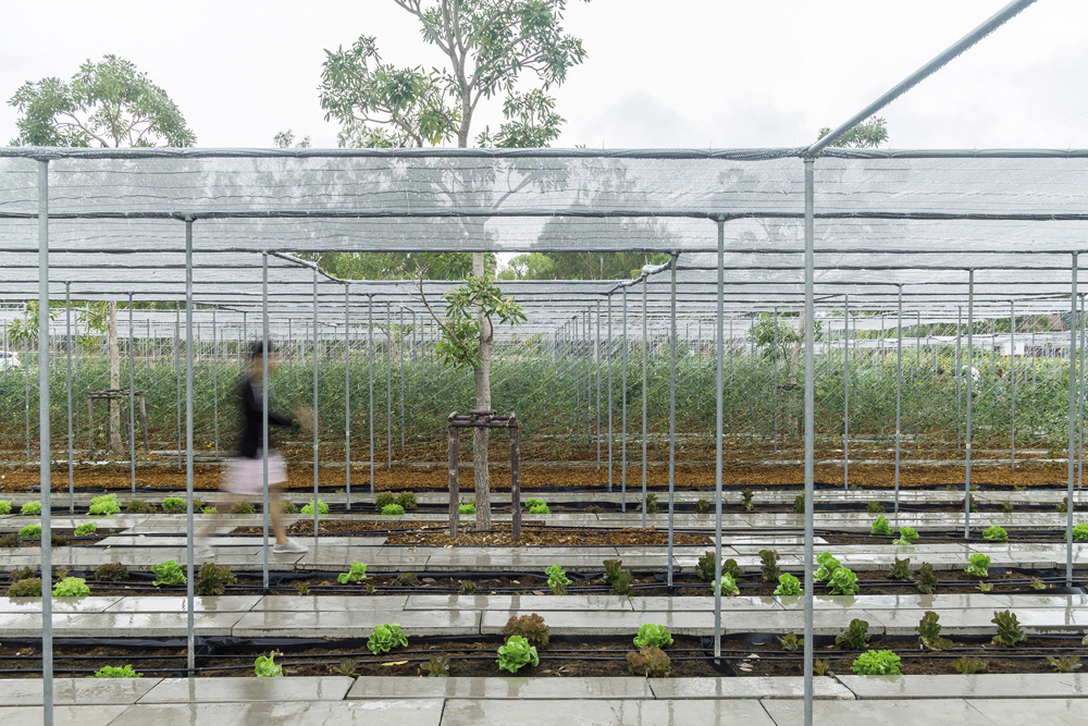 »Coro Field«, Landwirtschaftsbetrieb in Suan Pheung, Ratchaburi 
IF, Integrated Field, Bangkok