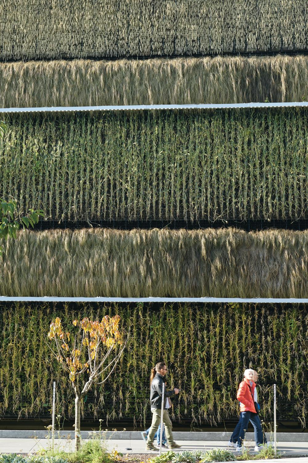 Israelischer Pavillon, Expo Mailand 2015, Knafo Klimor Architects