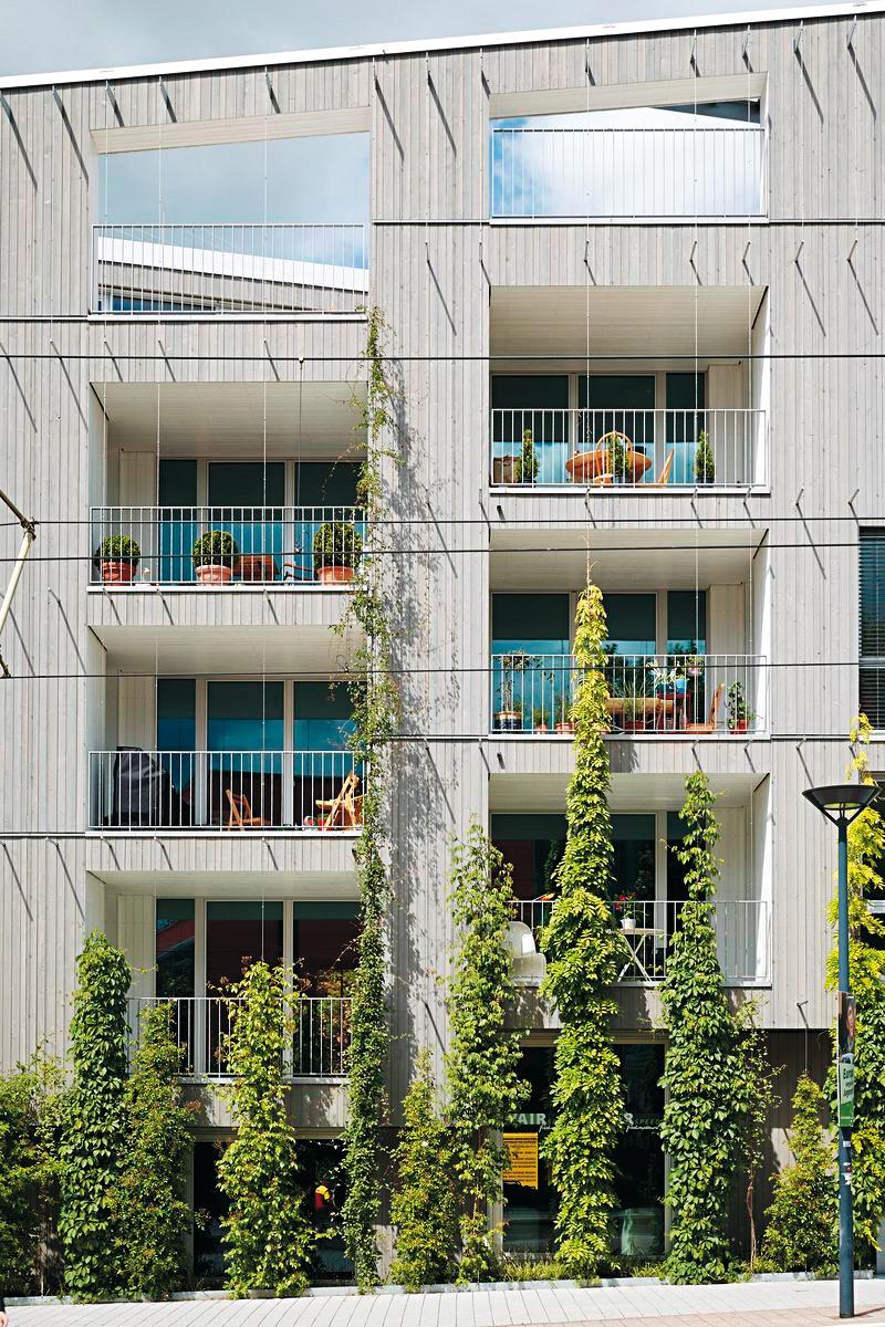 Stadthaus M1, Freiburg, Barkow Leibinger mit Raderschall Landschaftsarchitekten
leitbarer Bewuchs an Edelstahlseilen, bodengebunden, u. a. wilder Wein, Schlingknöterich, Glyzine, Akebie, Kletterrosen, Waldrebe, Geißblatt
