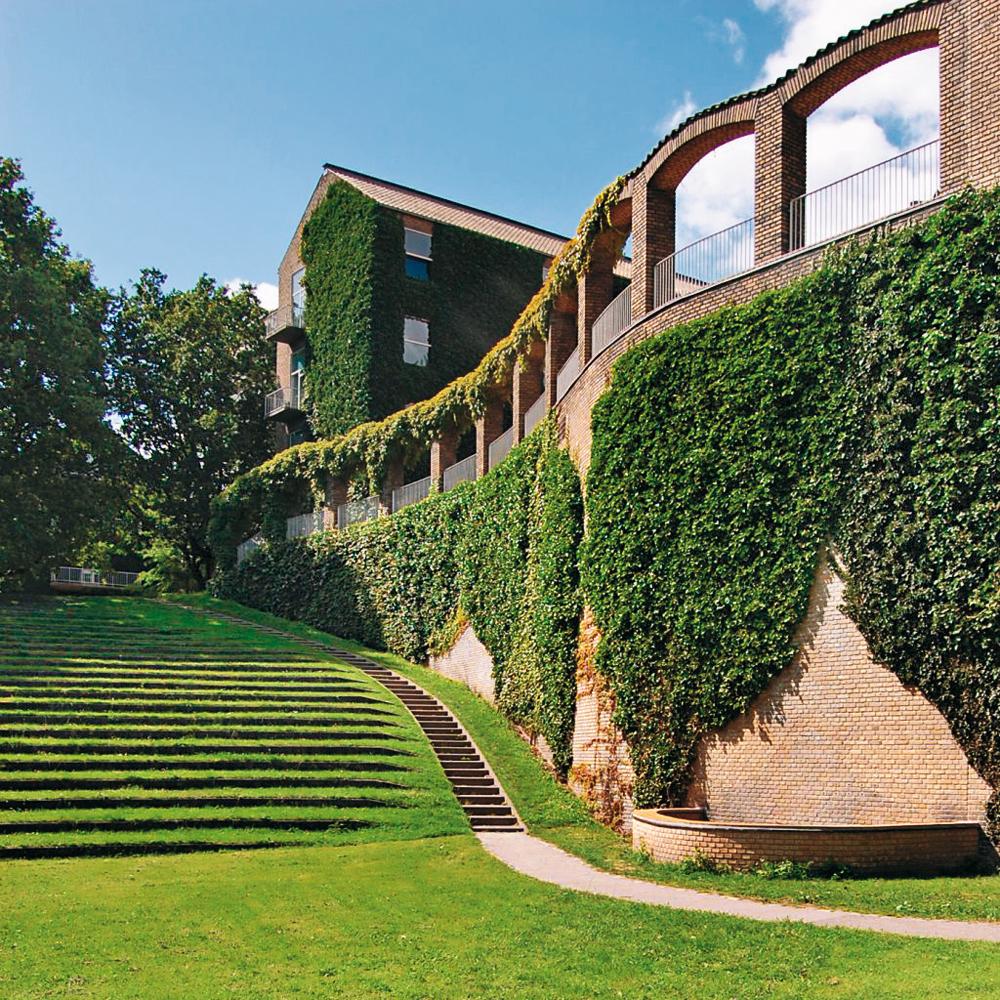 Universität Aarhus, Landschaftsplanung: C.F. Møller
Direktbewuchs, bodengebunden, Hedera, Parthenocissus tricuspidata