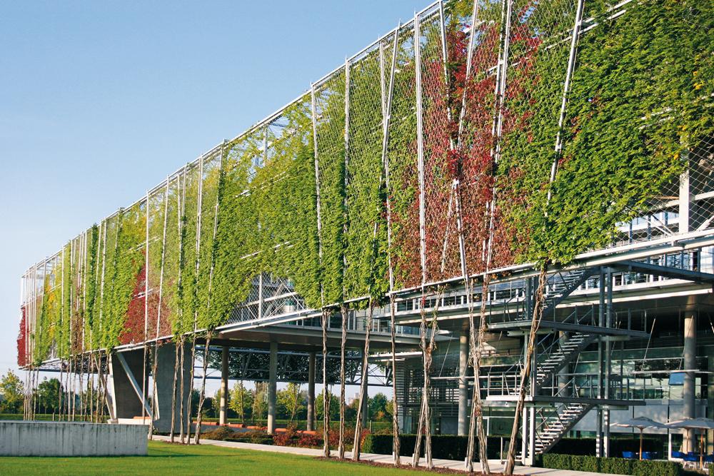 Swiss Re Hauptverwaltung Unterföhring, BRT Architekten mit May Landschaftsbau
leitbarer Bewuchs an Edelstahlgewebematten, bodengebunden, Clematis, Parthenocissus quinquefolia, Wisteria