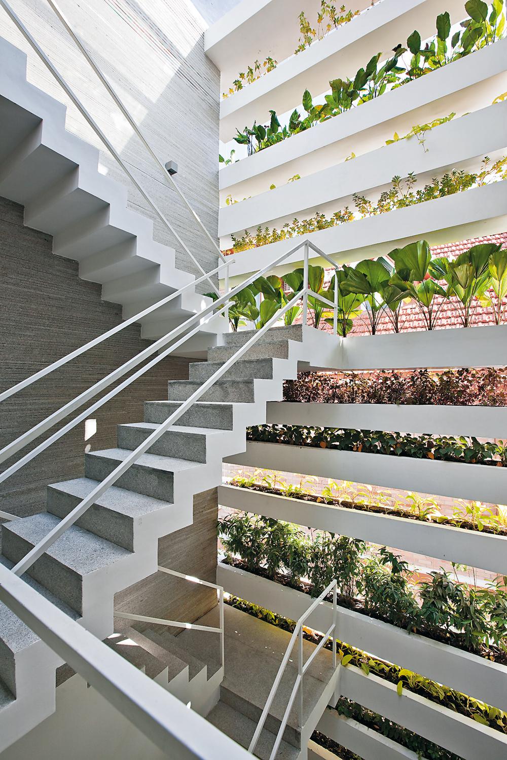 Stacking Green, Saigon, Vo Trong Nghia Architects
Regalsystem, wandgebunden, Linearbehälter aus WU-Beton, Pflanzsubstrat, Bewässerungssystem / Anstaubewässerung, Cuphea hyssopifolia, Tropaeolum, Balsaminaceae, Wrightia antidysenterica, Dracaena, Livistona rot