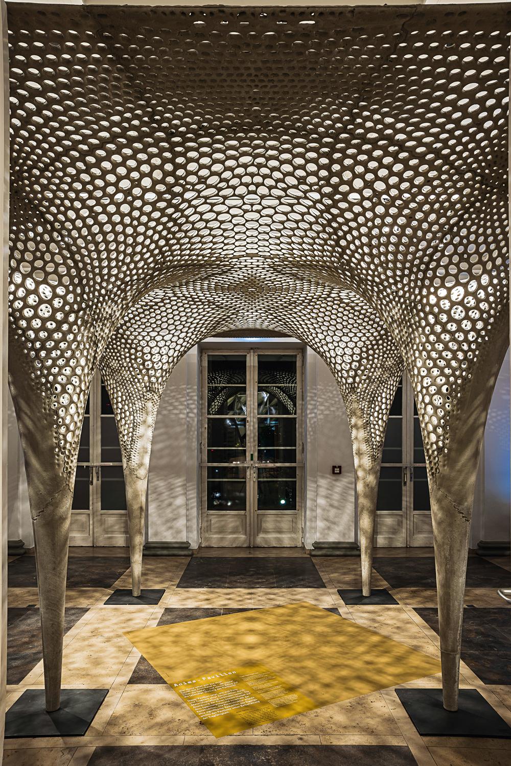 Rosenstein-Pavillon: leichte funktional gradierte Betonschale, 2017