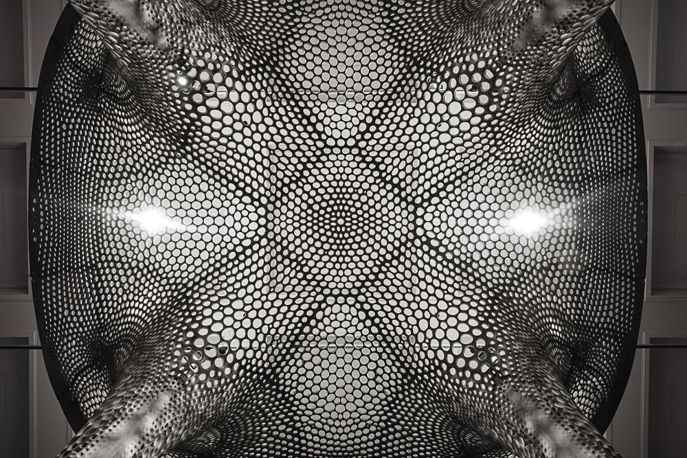 Rosenstein-Pavillon: leichte funktional gradierte Betonschale, 2017