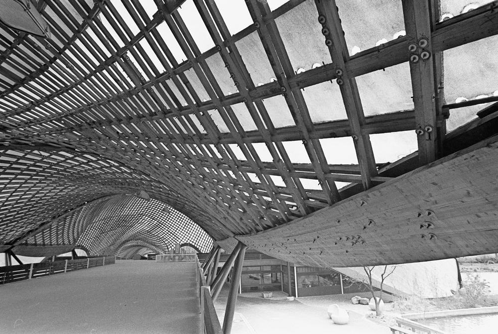 Blick vom Steg in den Außenraum und den Innenraum der fertig erstellten Gitterschale