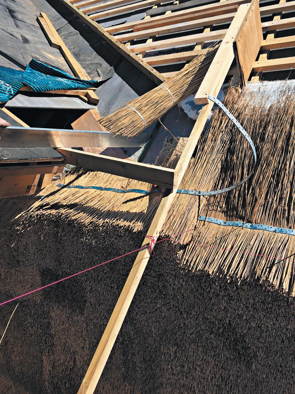 Traditionelles Prinzip der Wasserableitung: Fugenüberdeckung durch Überschuppung (Reetdachdeckung).