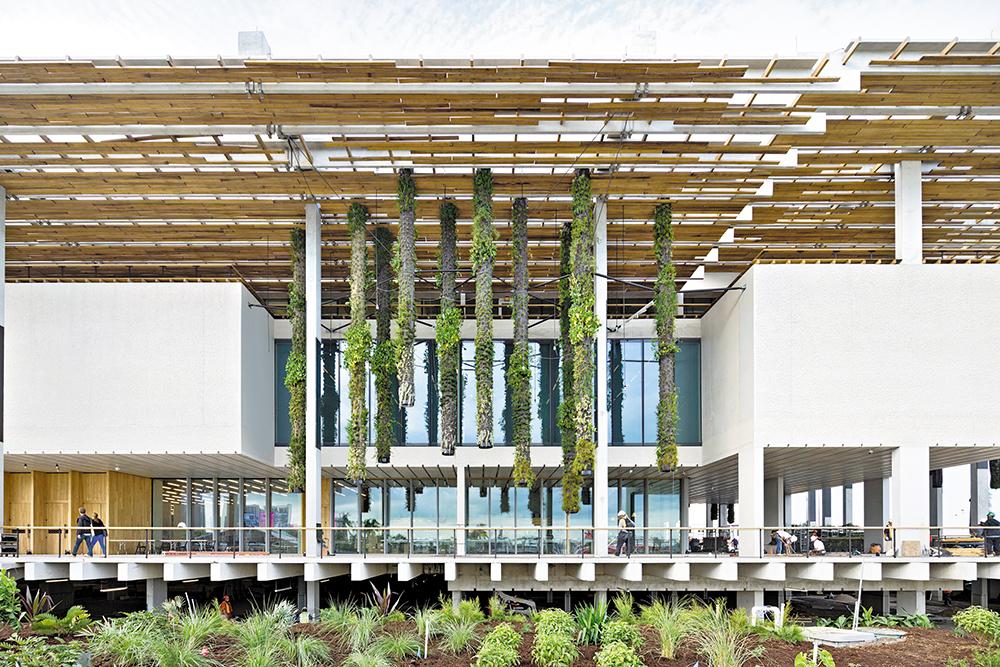 Das Pérez Art Museum von Herzog & de Meuron steht in einem neu angelegten Uferpark in Miami. Zum besseren Hochwasserschutz wurde das Gebäude auf Stützen angehoben. Seine Fassadenpfosten aus ultrahochfestem Beton widerstehen auch orkanartigen Winden.