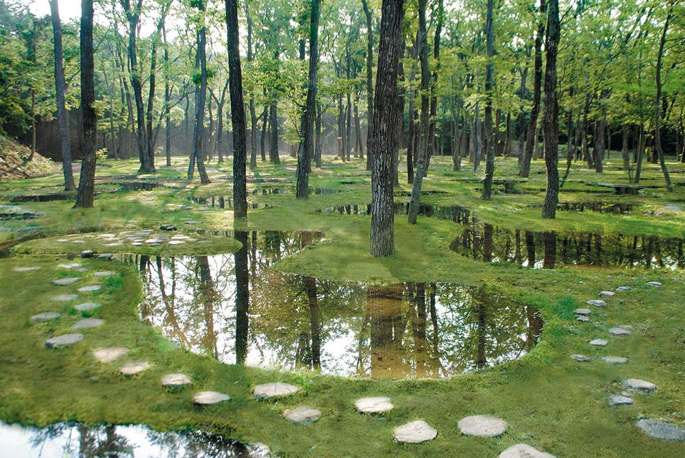 Mit seinem Wassergarten schuf Ishigami eine märchenhafte Naturlandschaft für Art Biotop, ein exklusives Urlaubsresort in Tochigi.