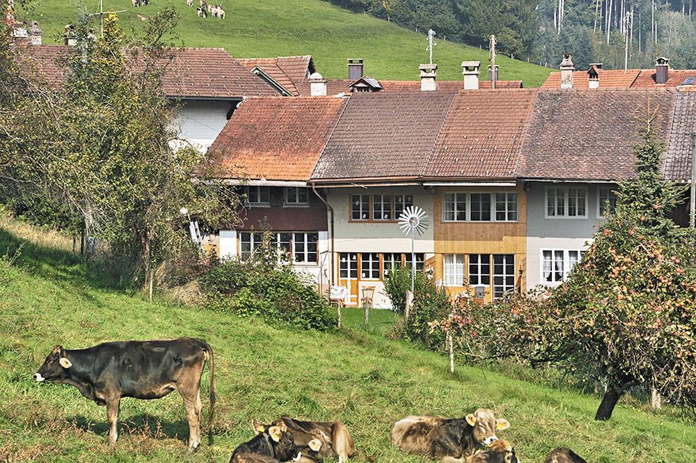 Beispiel eines traditionellen Flarz im Kanton Zürich: Typisch sind das traufständige Dach und die großen Fensterfronten an der Südseite.