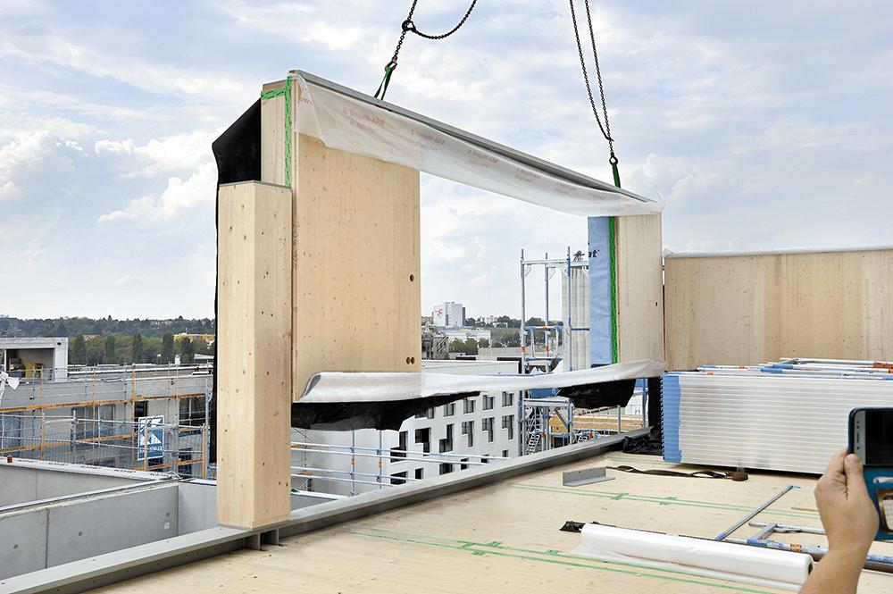 Die Außenwandelemente werden zwischen die tragenden Holzstützen auf den Stahlträger gesetzt.