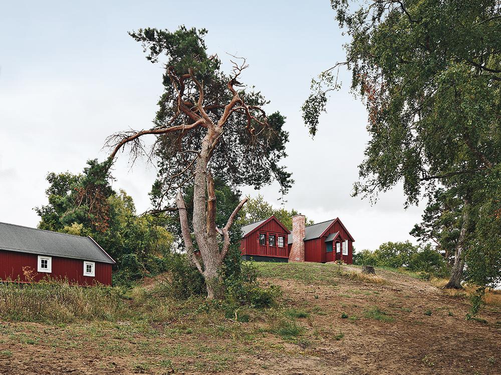 Sommerhaus in Dänemark