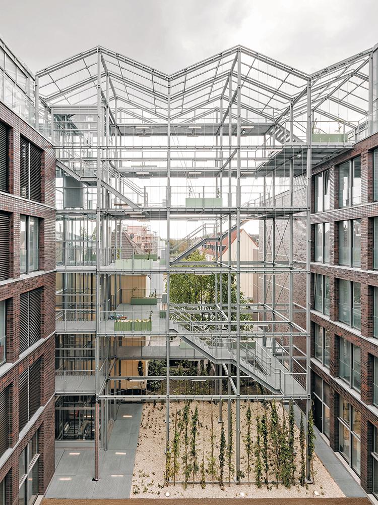 Das Stahlskelett im Innenhof dient zur Erschließung des Dachgewächshauses und als Gerüst für Rankpflanzen.