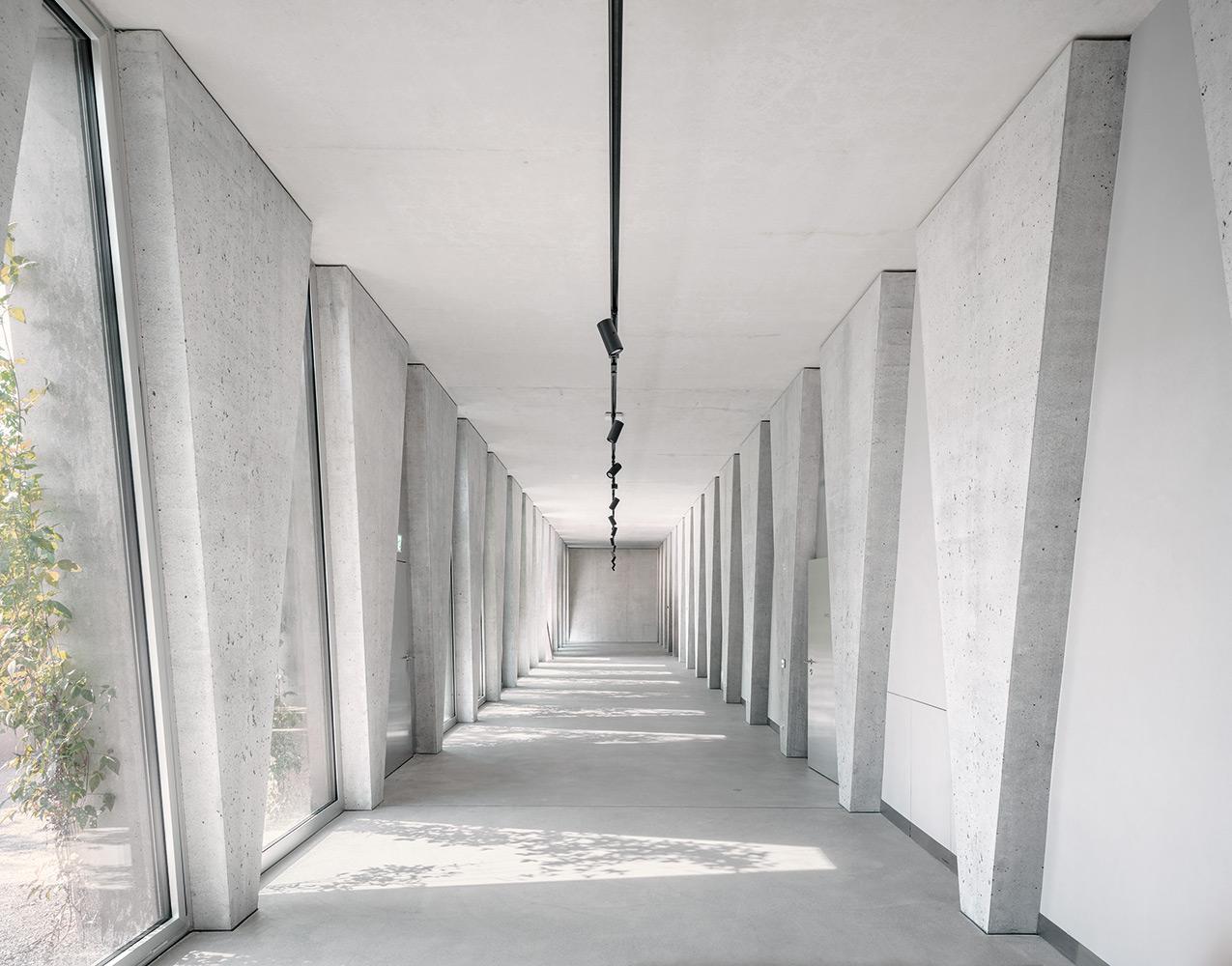 Das Foyer läuft parallel zum Flussufer über die gesamte Gebäudelänge. Der natürliche Sonnenschutz aus Kletterpflanzen, die an Stahlseilen empor ranken, malt Schattenbilder auf den grauen Sichtbeton.