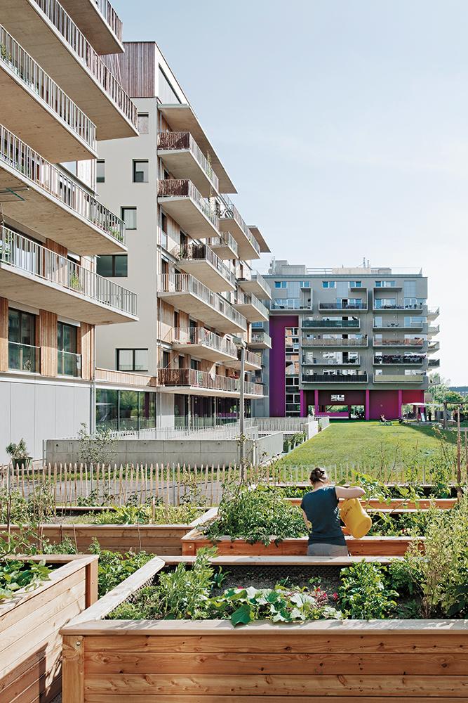 Das Wohnprojekt Wien von Einszueins Architektur setzt die Vision für ein gemeinsames Leben um: solidarisch, sozial und ökologisch nachhaltig.