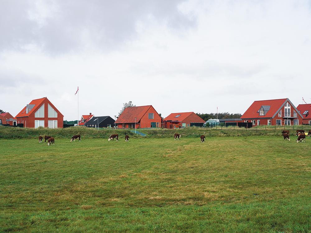 Ferienhaus auf Fanø